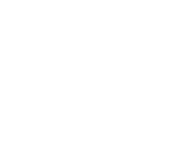 Wilhelm Visual Works Logo